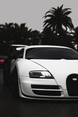 envyavenue:  Storm Trooper ‘Gatti by Hilgram