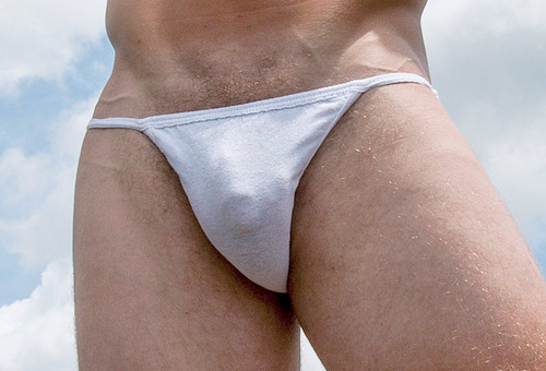 Dedicated Follower of Bulges