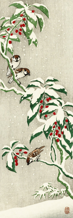 japanese-plants:Japanese Laurel and Eurasian Tree Sparrow by Koson Ohara (1877-1945)Happy Holidays
