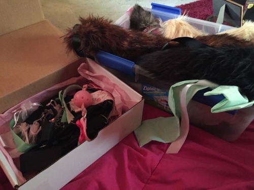 kxttensplaypen:  i have all of my kitty things out if anyone has any questions or wants to see anything! ☺️