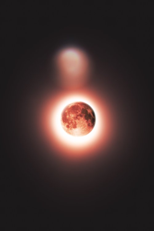 karlrincon: Last night’s total lunar ecliple;  Full moon in scorpio