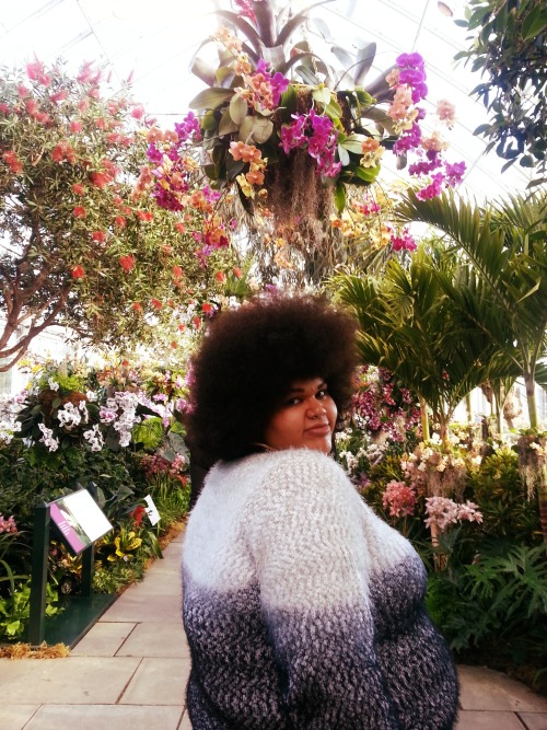 thehalfrolatina:  There isn’t much that’s more peaceful than being in the presence of good people and lots and lots of plants. Happy Spring!