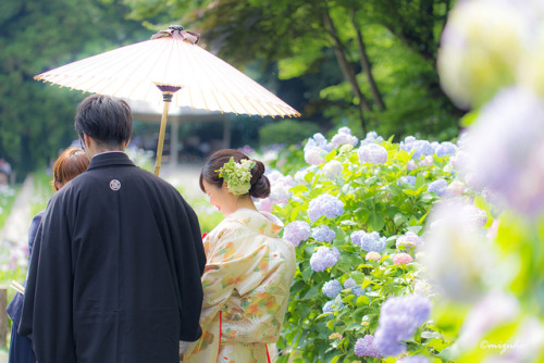 【June Bride】どうぞお幸せに。location： 卯辰山花菖蒲園（石川県金沢市） on June 18, 2017