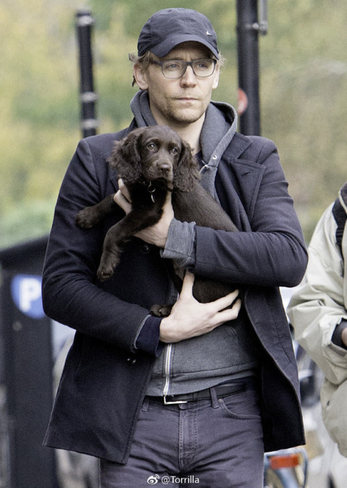 Tom with a puppy while out on a walk in London on November 9, 2017