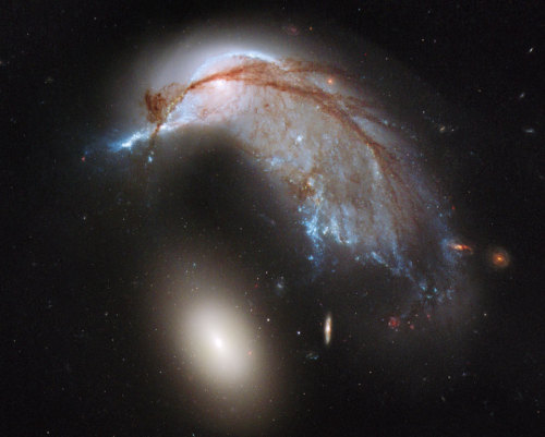 n-a-s-a: The Porpoise Galaxy from Hubble Image Credit: NASA, ESA, and The Hubble Heritage Team (STSc