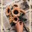 poemsads-blog