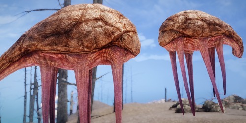 thezeroking:Gentle Striders