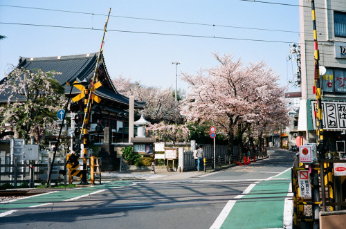 sorrowfools:   	Tokyo life by Nicholas Wang *do not delete text 