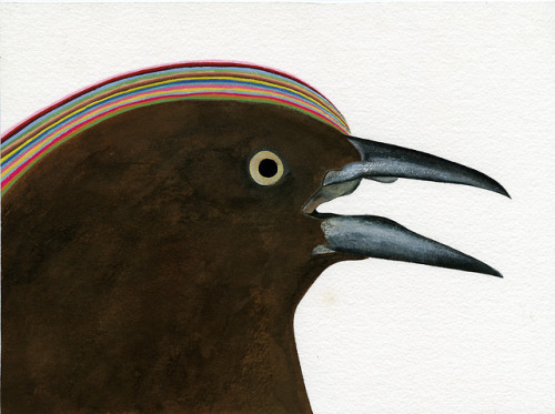 redlipstickresurrected:  Carrie Marill (American, b. 1976, San Francisco, CA, USA) - 1: Red Billed Ox Pecker with Impala  2: Female Grackle  3: Deer Feeding  4: Great Grey in the Trees  5: Knotty Pines  6: Scissor Tailed Fly Catcher from String Theory