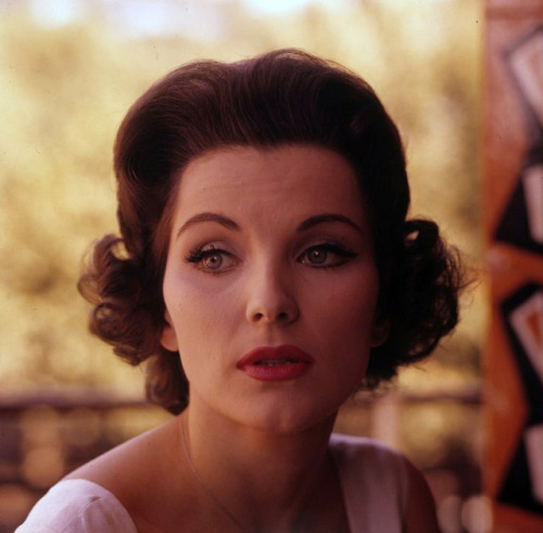 gameraboy:Debra Paget photographed by Angelo Frontoni