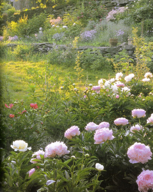 ariellesiradze: Flowers in Profusion - Tasha Tudor’s Garden in June