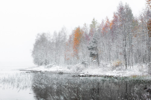 tiinatormanenphotography:Year ago today. Last year was very early first snow. It was extraordinary e