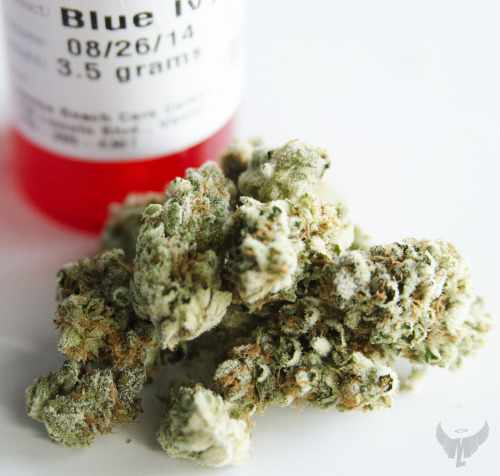 mslovejoy:  Blue Ivy x Medical Marijuana adult photos
