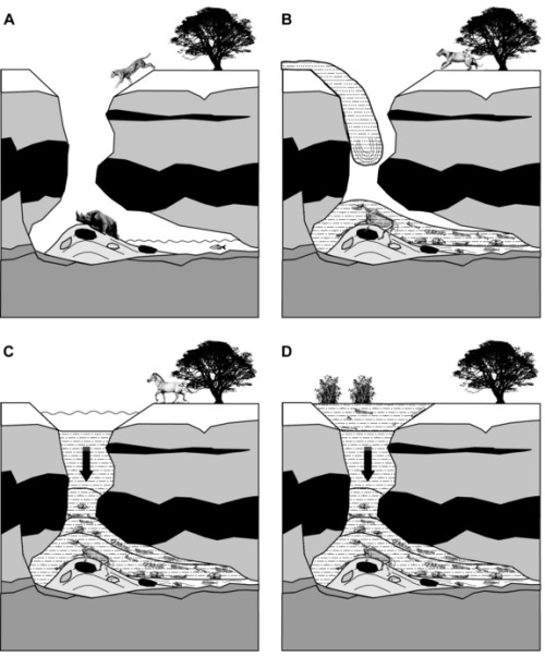 rhamphotheca:Killer Cave Lured Ancient Carnivores to Their Deathby Tia GhoseA cavern in Spain may ha