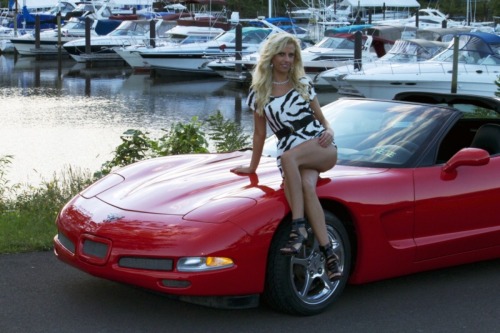 Corvettes - Tits & Tires