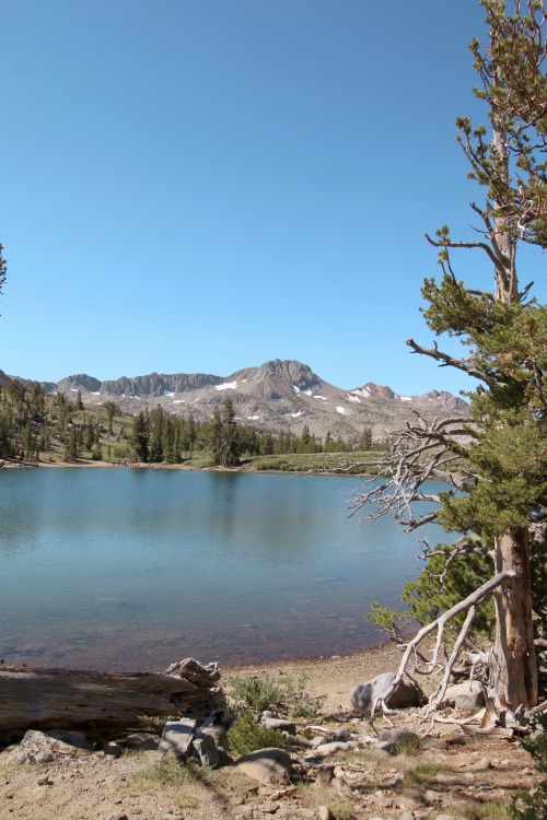 Frog Lake and Lake Winnemucca Lake are located off of Highway 88 in Alpine County. And for alpine la