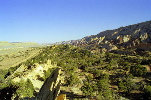 geologicaltravels:1999: Looking south along the Waterpocket Fold, a 160km long monocline in the Capi