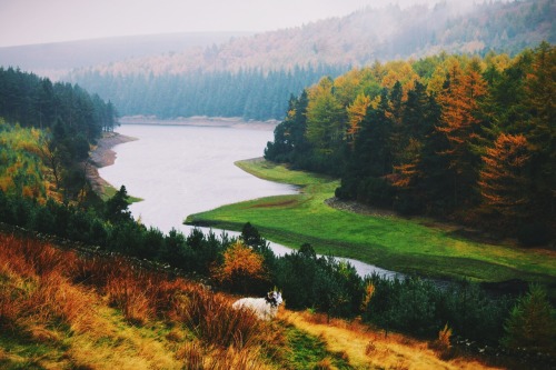 dpcphotography:  Autumn Landscapes