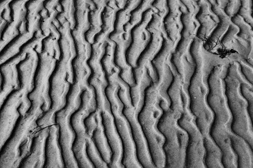 Day 137 of 365 - Sand Ripples #sand #lowtide #bnw #bnwphotography #leicaclux #macrophotography #365 