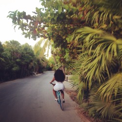 seeszarun:  The City of Tulum Mexico …my