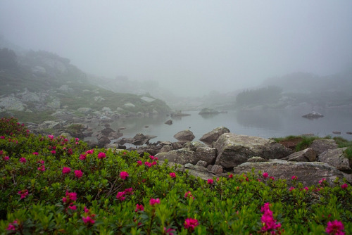 A lake in mist by chaojiwolf on Flickr.