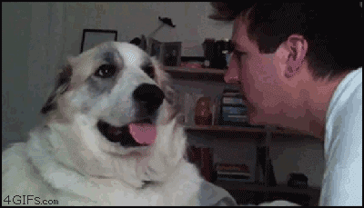 iammoonmoon:  when i say get outta my face, i fucking mean it