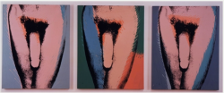 supposedly this is the dick of Victor Hugo, Halston&rsquo;s bf by Warhol