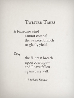 michaelfaudet:  Twisted Trees by Michael