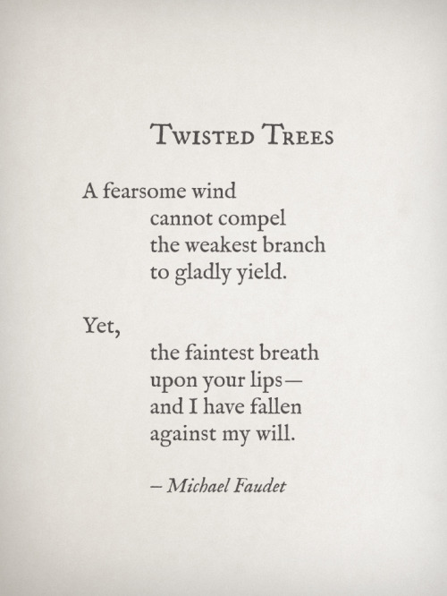 michaelfaudet:  Twisted Trees by Michael Faudet 