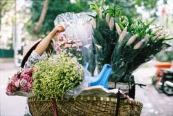 floricaly:  arquerio:  Street flowers seller