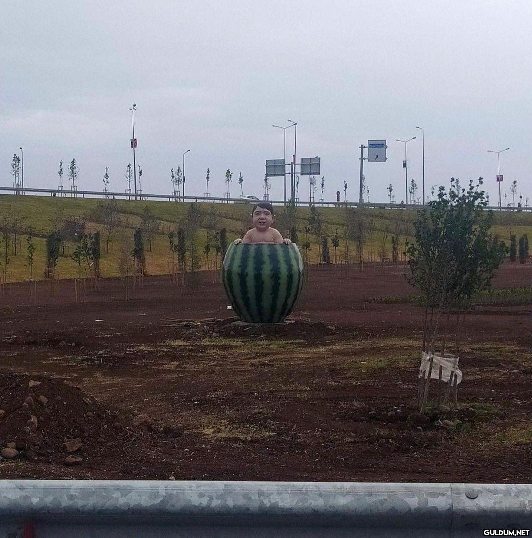 anlamsız fotoğraflar 2047 ...