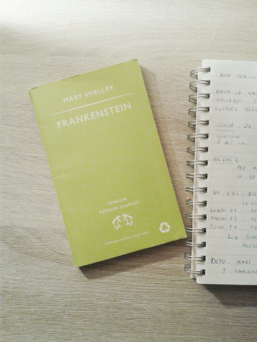 First time reading Frankenstein and I honestly wasn’t expecting to like it that much !