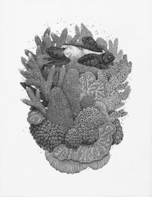 lesstalkmoreillustration:  Zoe Keller www.zoekeller.com/  Check us out on Instagram: @Lesstal