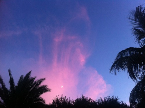 0000000000cloud:thats the moon. thats pink dust in the sky