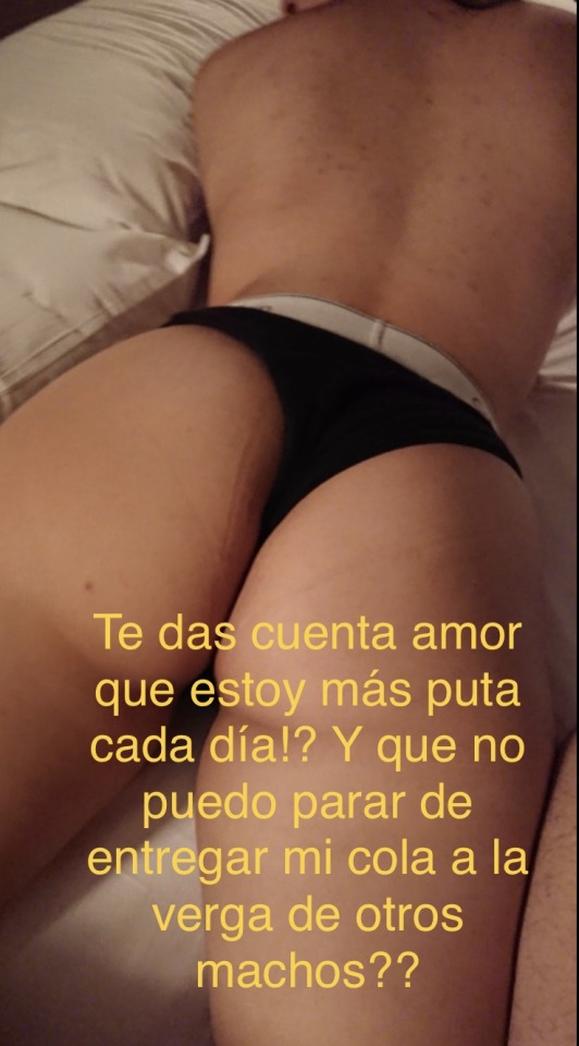 cornudoagradecido1 - cornudo agradecido