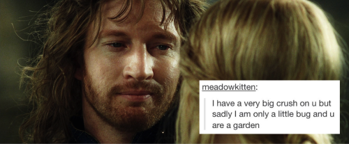 the-art-of-fangirling:lord of the rings + text posts part 3