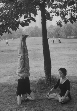 Hauntedbystorytelling:  Leonard Mccombe :: People Practising Yoga In Central Park,