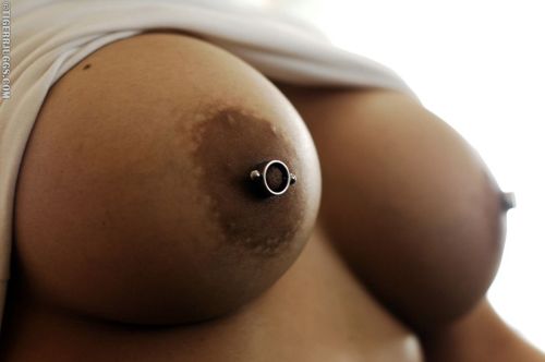 “These perverted piercings you got adult photos