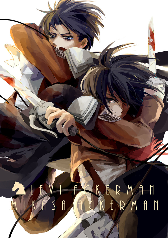 reiner&ndash;braun:  AOT x CHESS by winni 