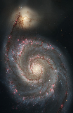 Astronomicalwonders:galactic Tides - The Whirlpool Galaxy And Its Companion Astrophysicists