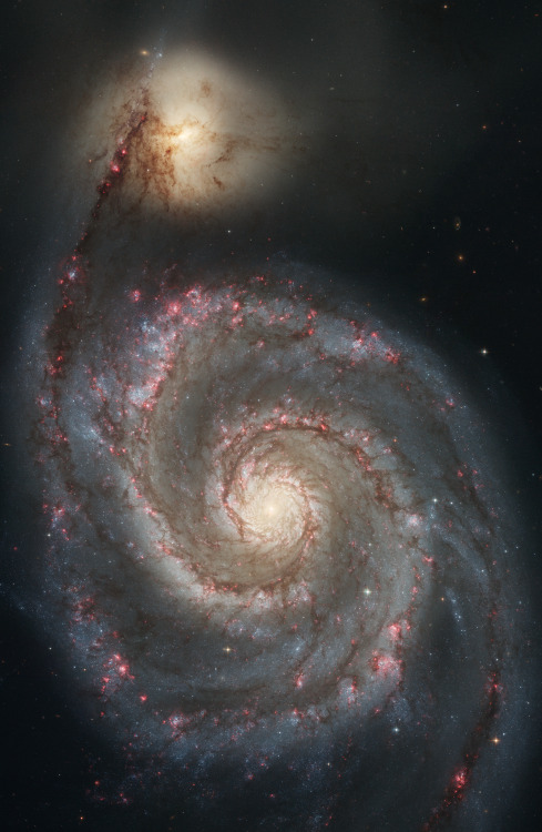 astronomicalwonders:Galactic Tides - The Whirlpool Galaxy And Its Companion Astrophysicists were abl