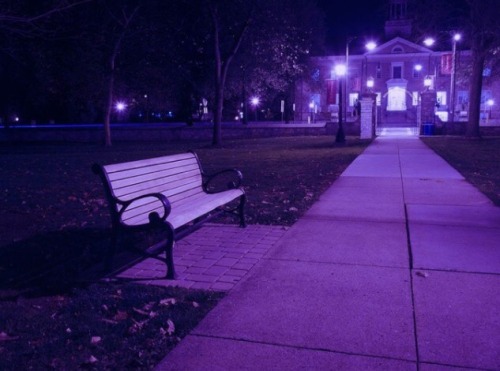 purrpleaesthetic: Bench.