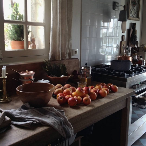 breadandolives:Cat in France
