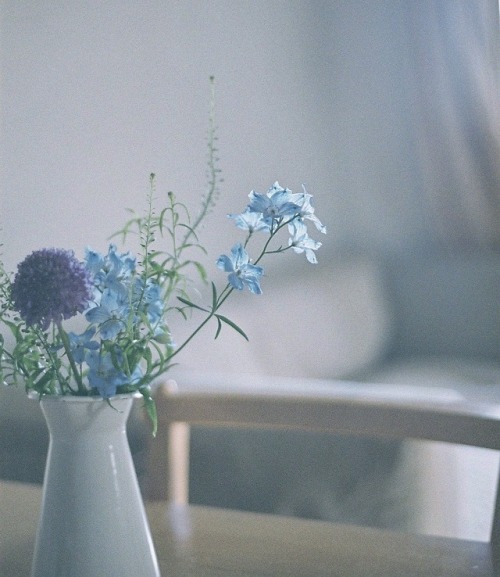 yura03:花のある暮らし