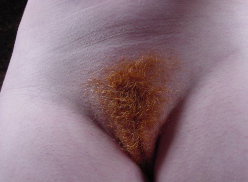 Temple Of Ginger