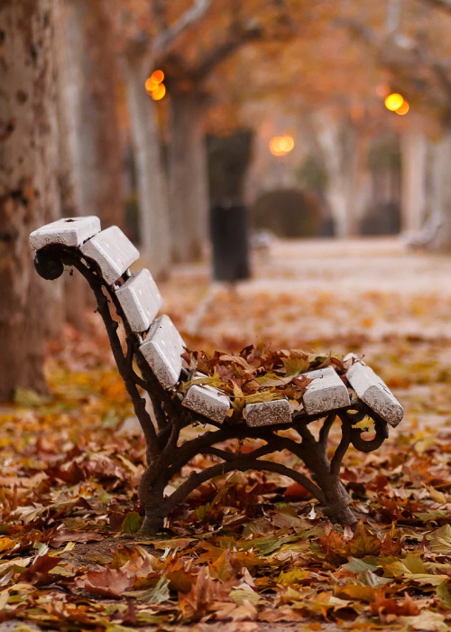 coiour-my-world:The colours of autumn! | Tony Goran