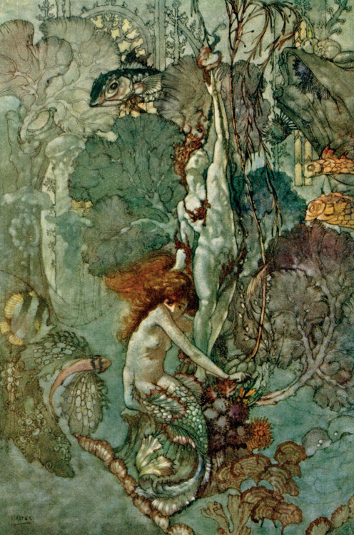 fish-tails-siren-scales:Duncan CarseThe Little Mermaid