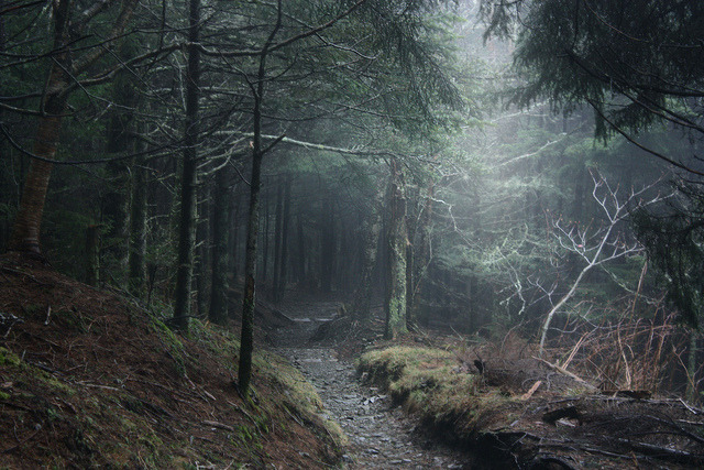 greekg0ds:  magic by paigesnopko   Where&rsquo;s red riding hood?