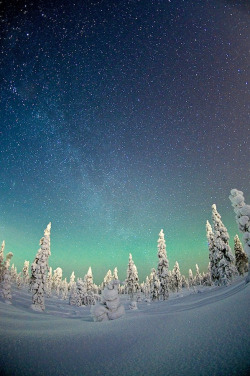4nimalparty:  Winter wonderland (by Teemu Lahtinen)