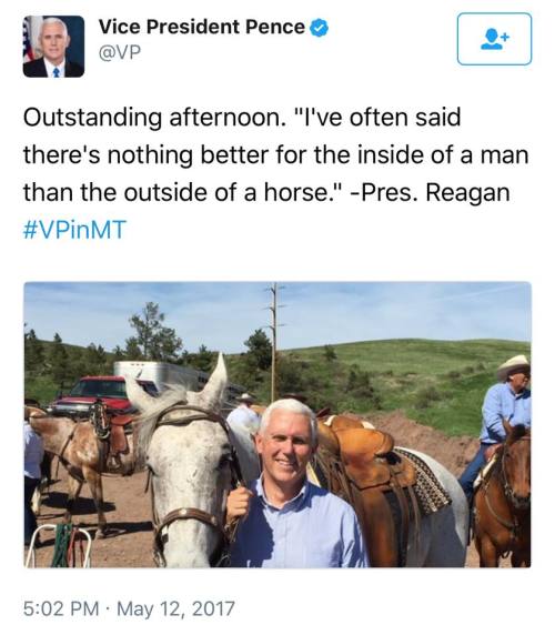 thelarkascends: mojave-wasteland-official: No, Mike Pence got fucked by a horse. How else do you get